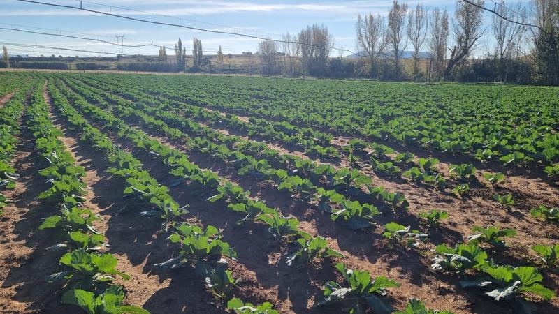 4 Bedroom Property for Sale in Queenstown Rural Eastern Cape